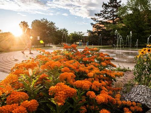 Flowers on campus